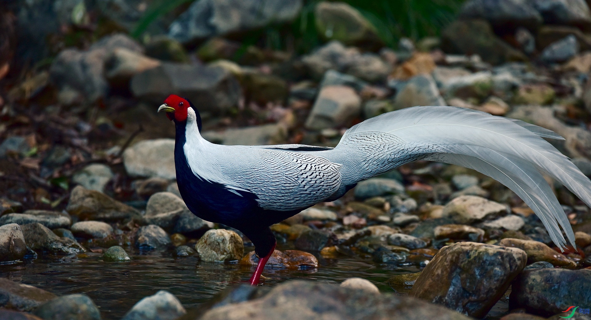 D8I_0738.jpg