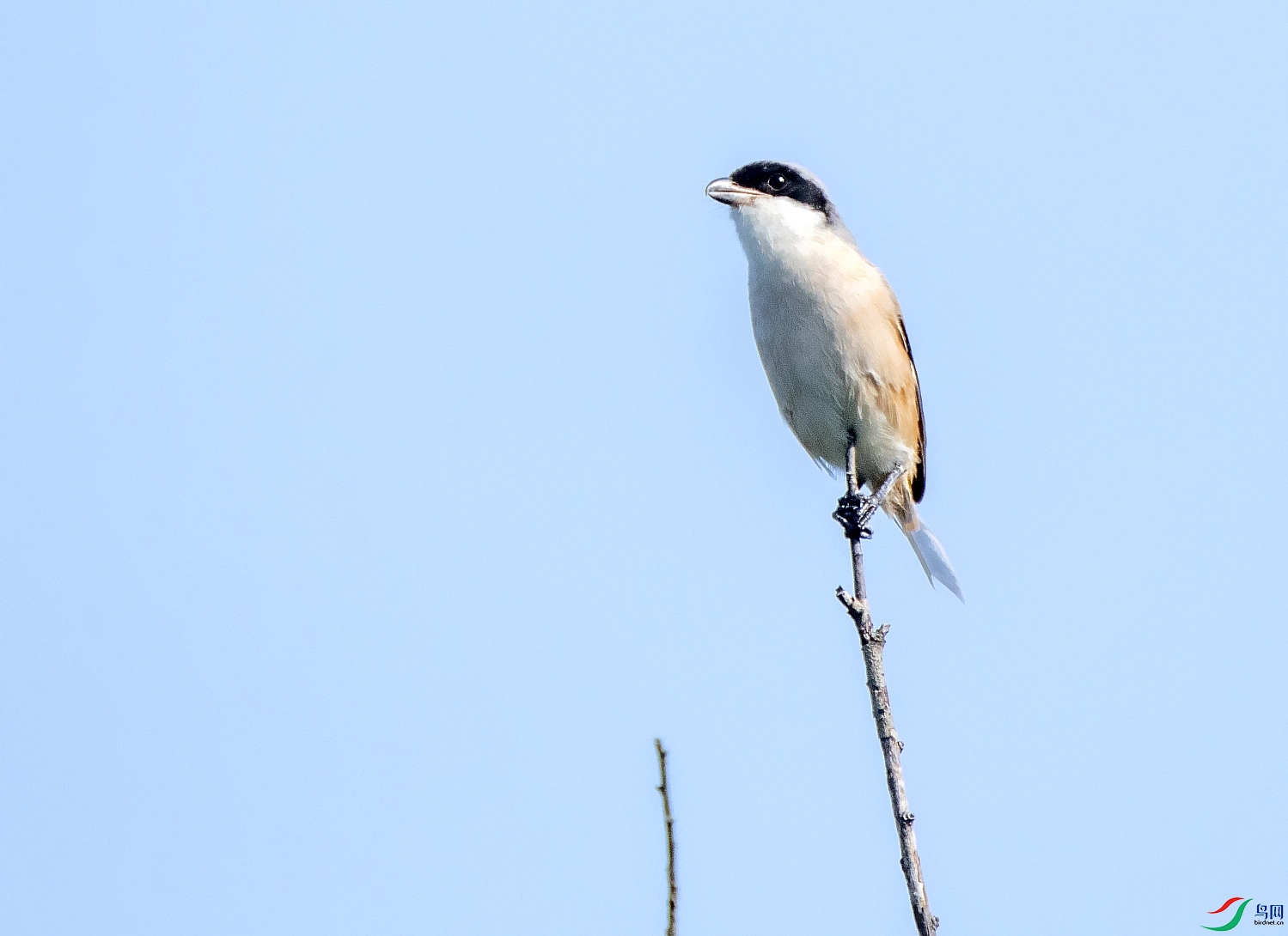 DSC_0476---_conew1.jpg
