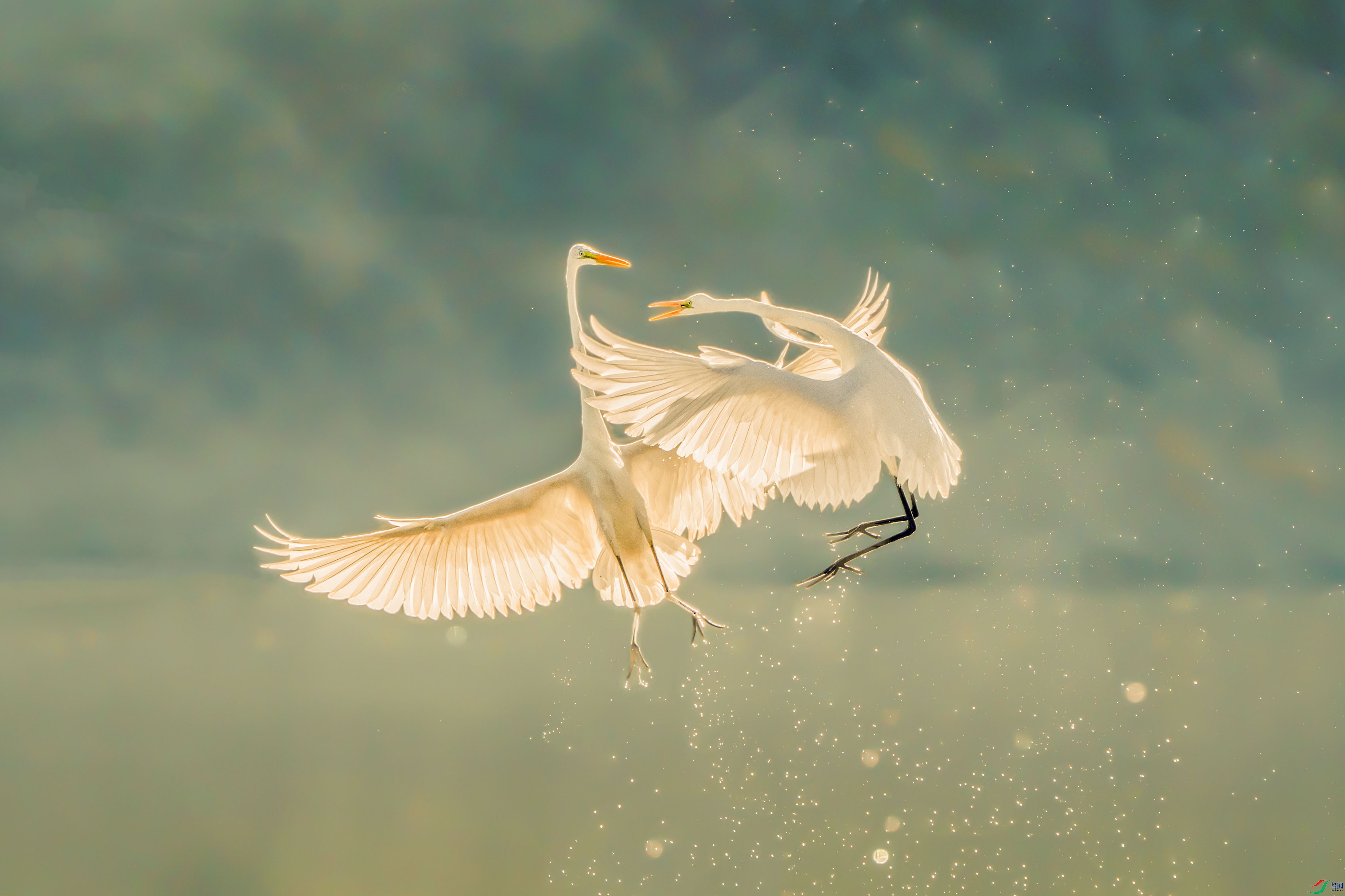 _ZZX1302 ����2.jpg