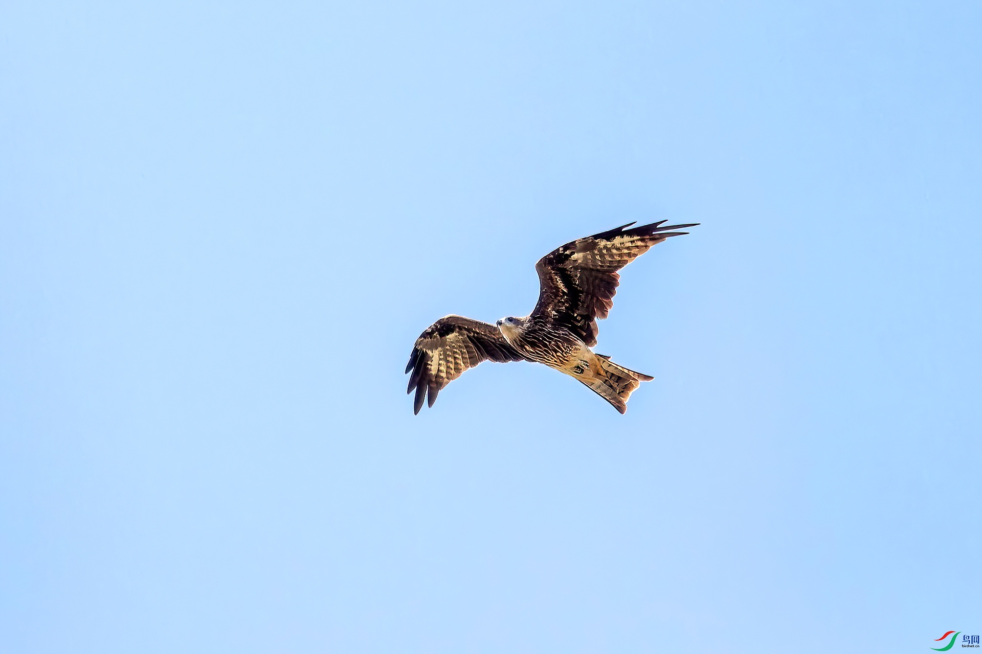 _MG_6404.jpg