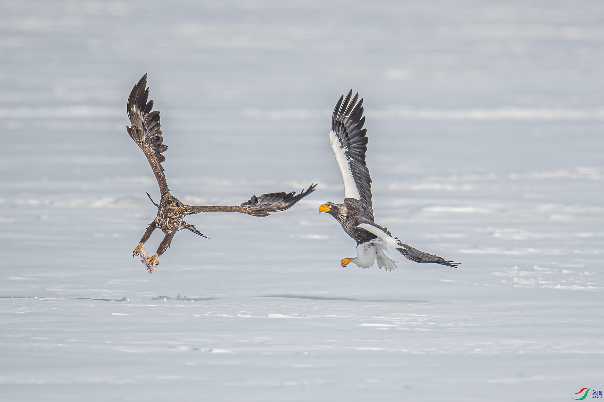 DSC_4891-a500k.jpg