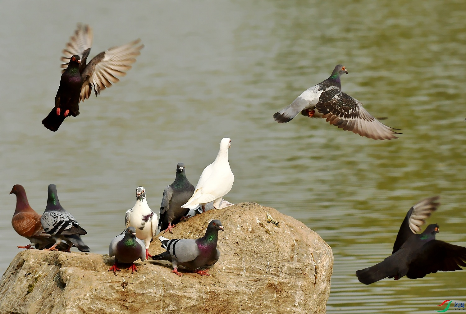 DSC_0028_conew1.jpg