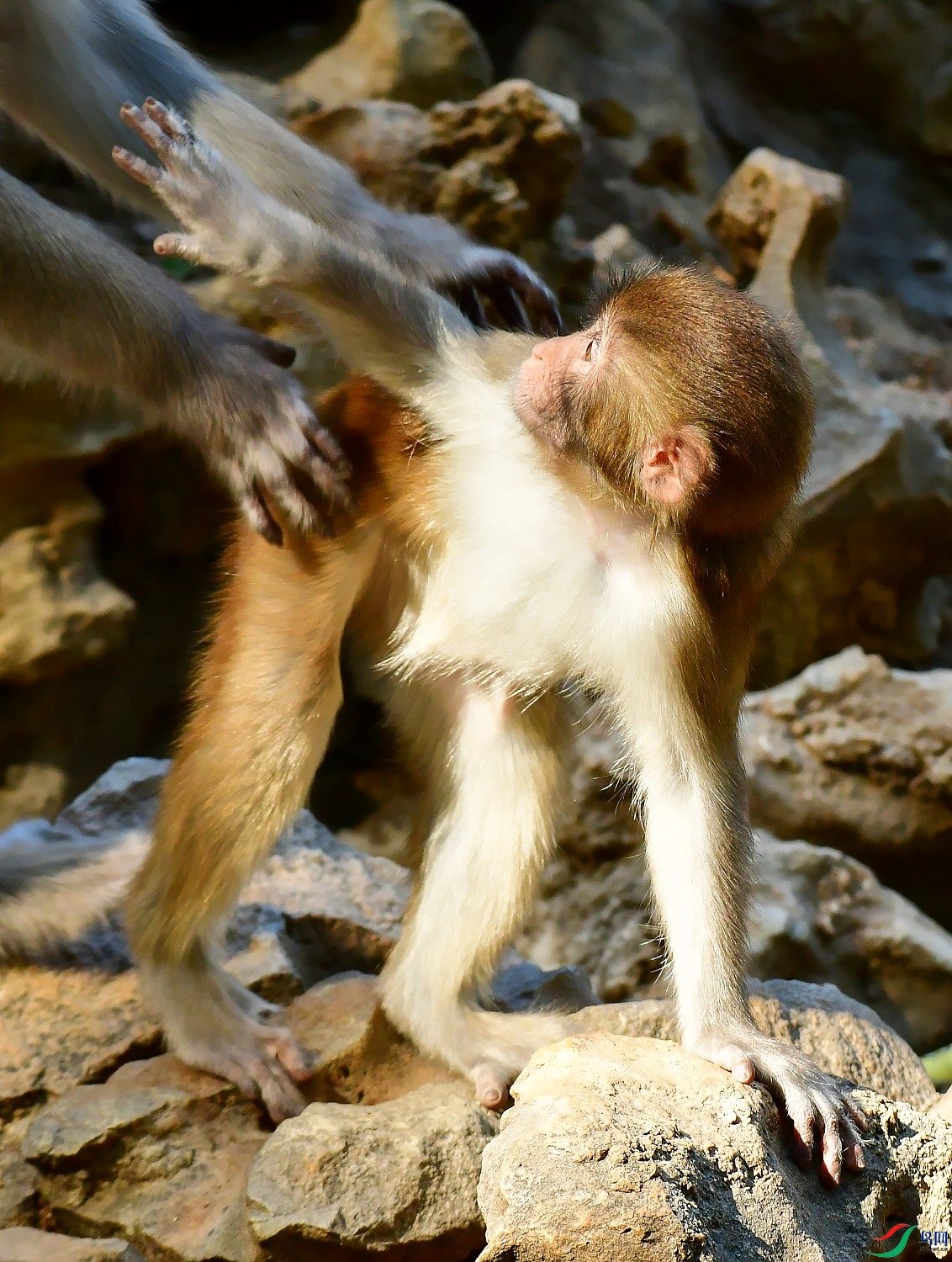 DSC_6752_conew1.jpg