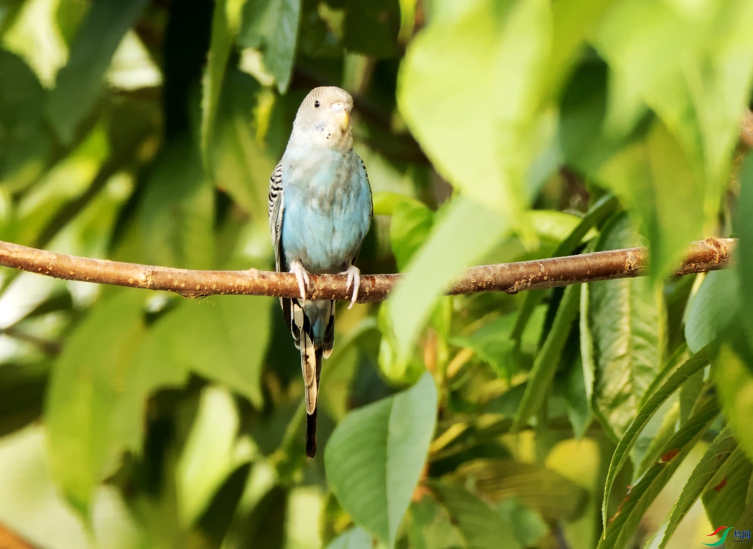 DSC_7662---_conew1.jpg