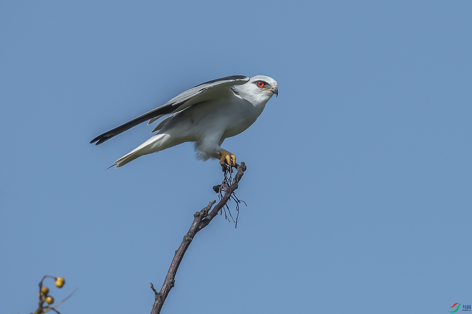 DSC_9175.jpg