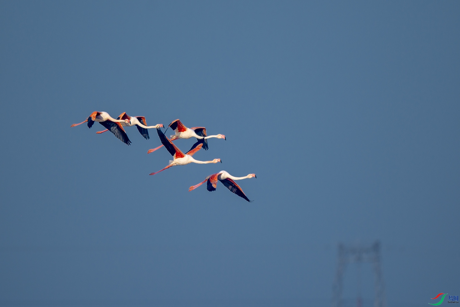 _DSC0032.jpg