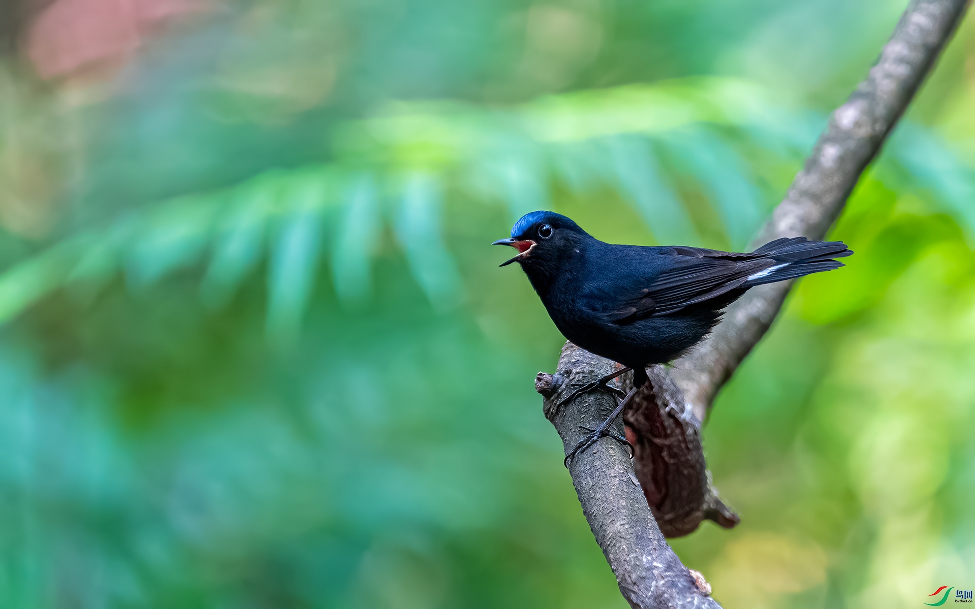 _DSC6754.jpg