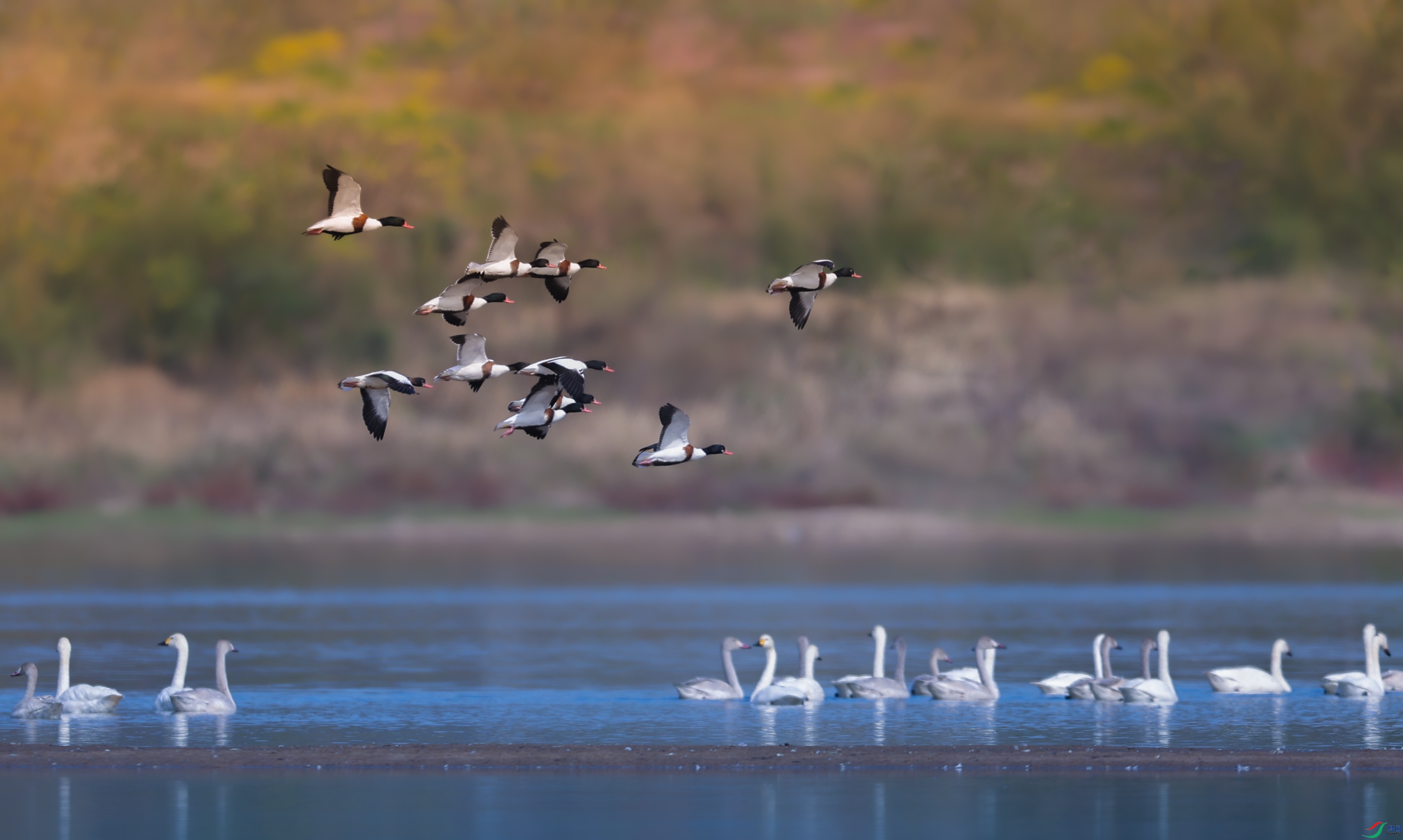 ����083A7109.jpg