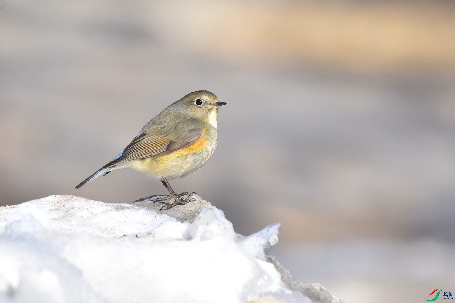 DSC_3217.JPG