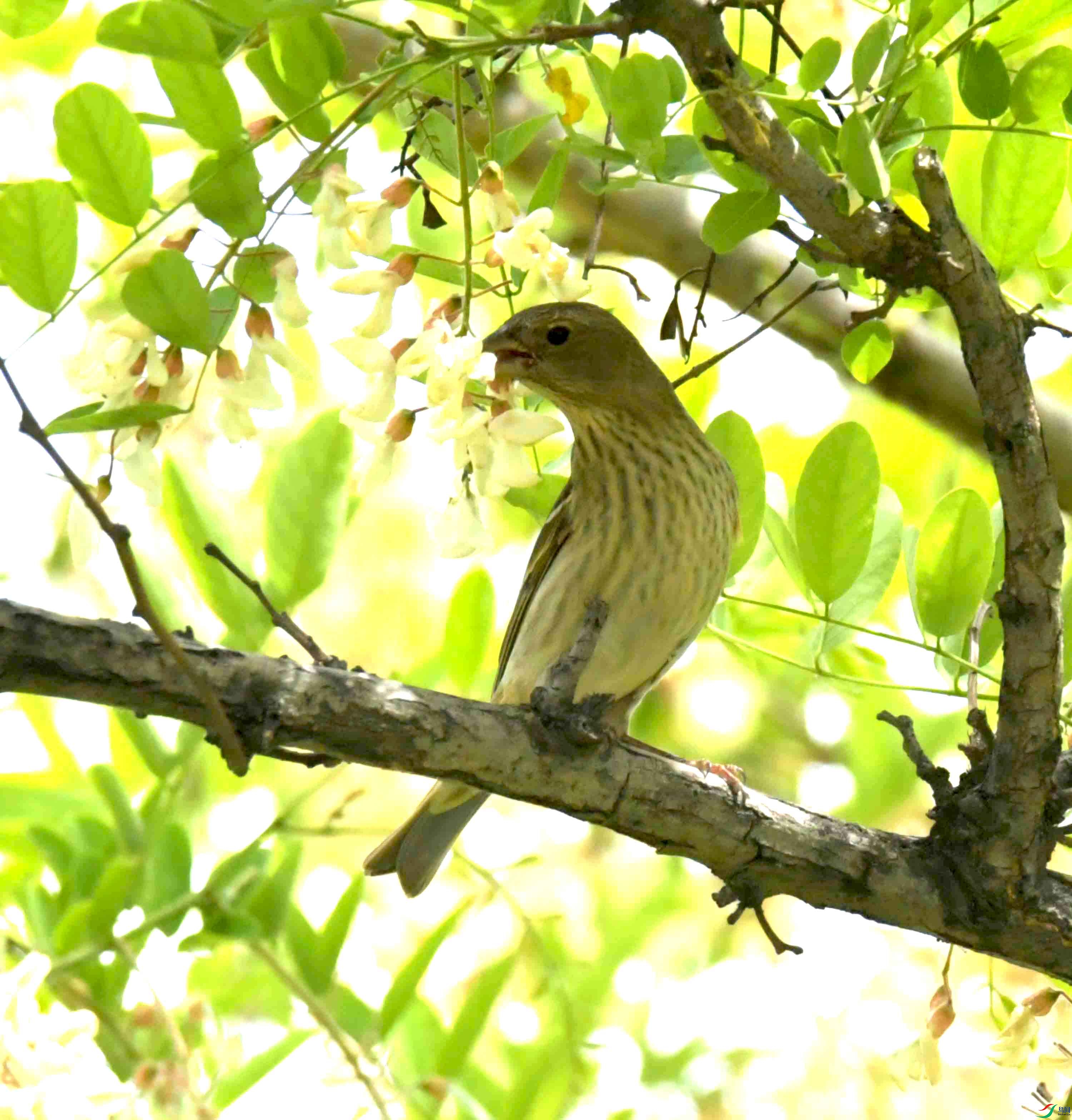 DSC_8019.JPG