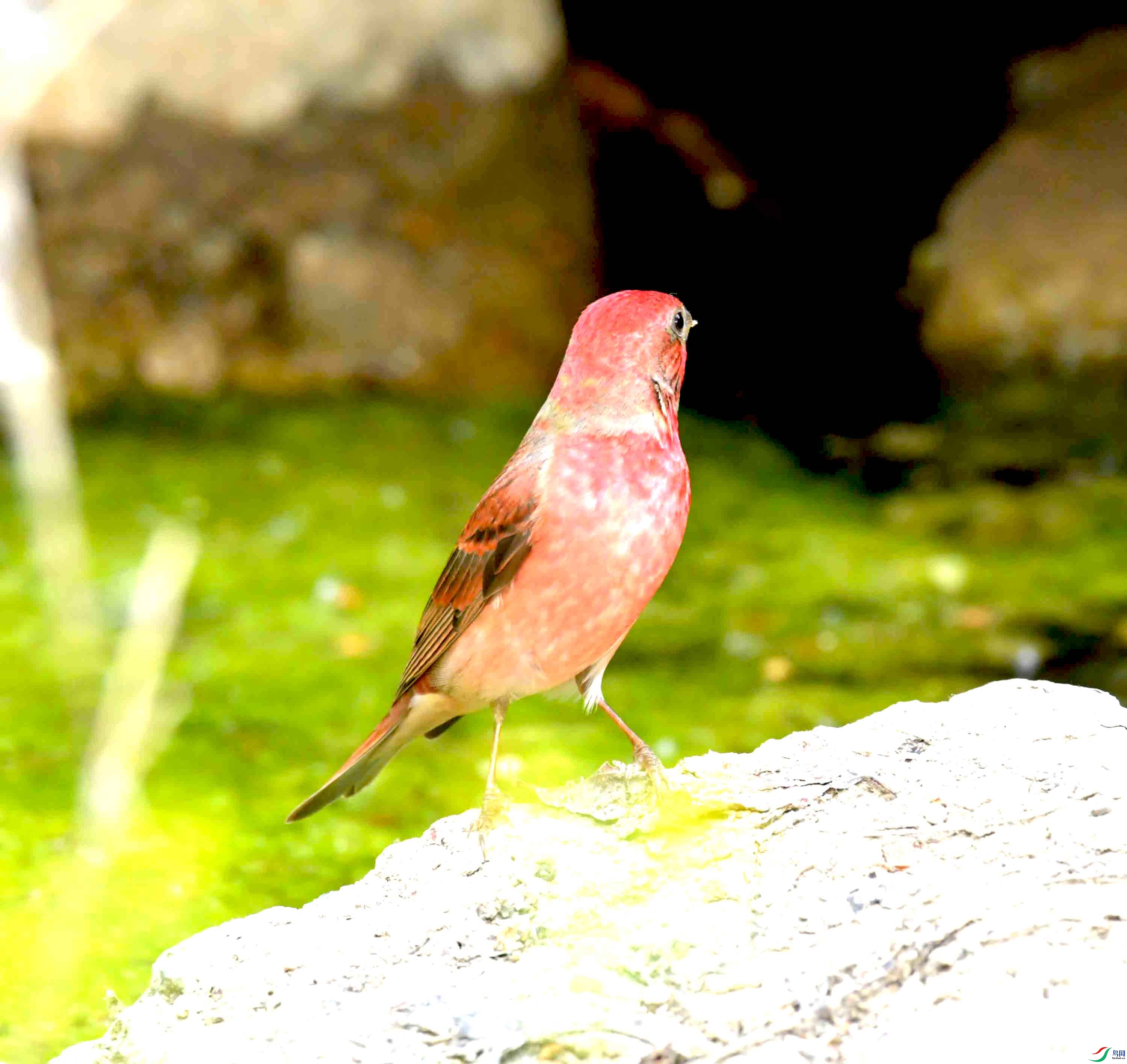 DSC_8765.JPG