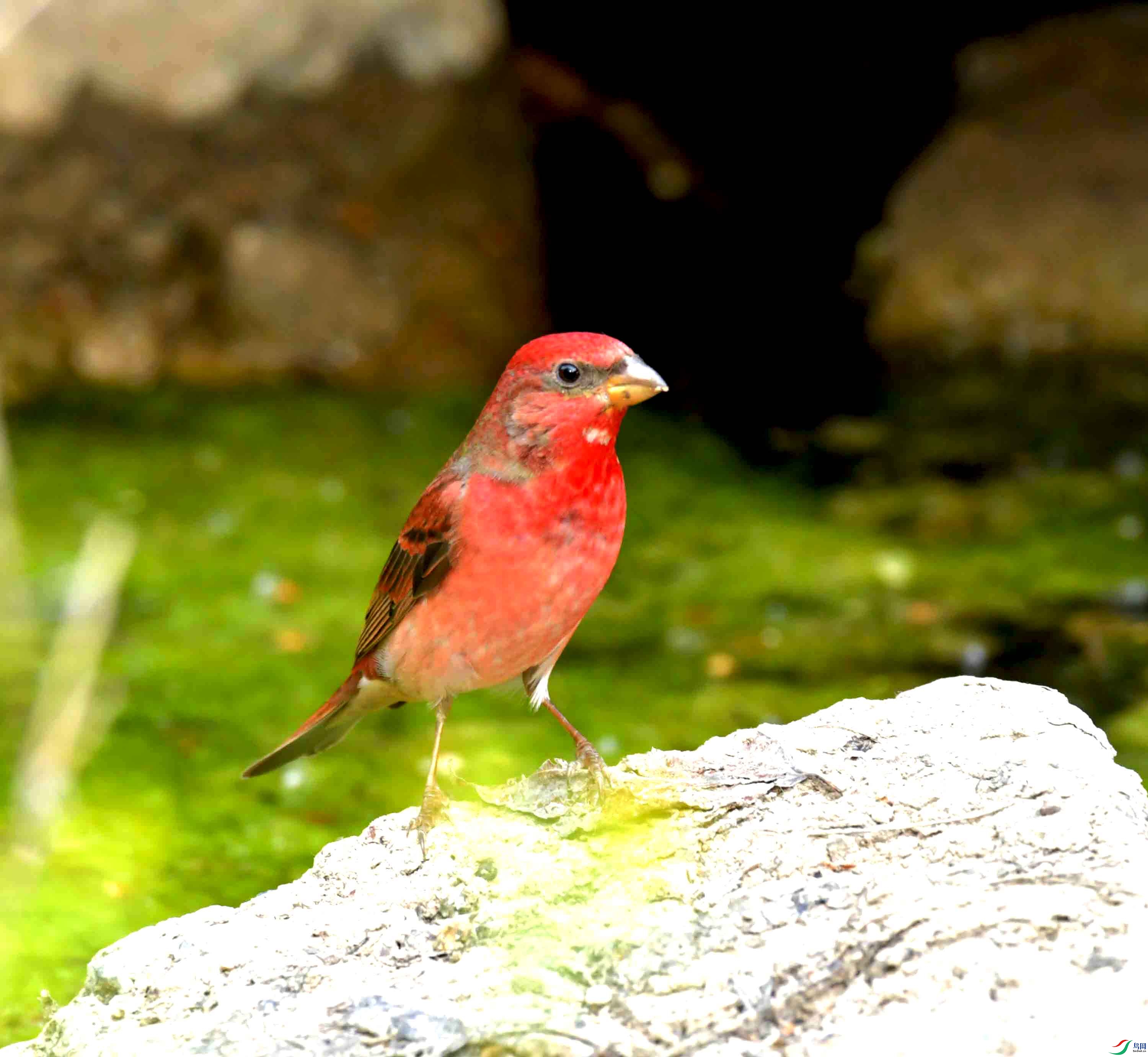 DSC_8766.JPG