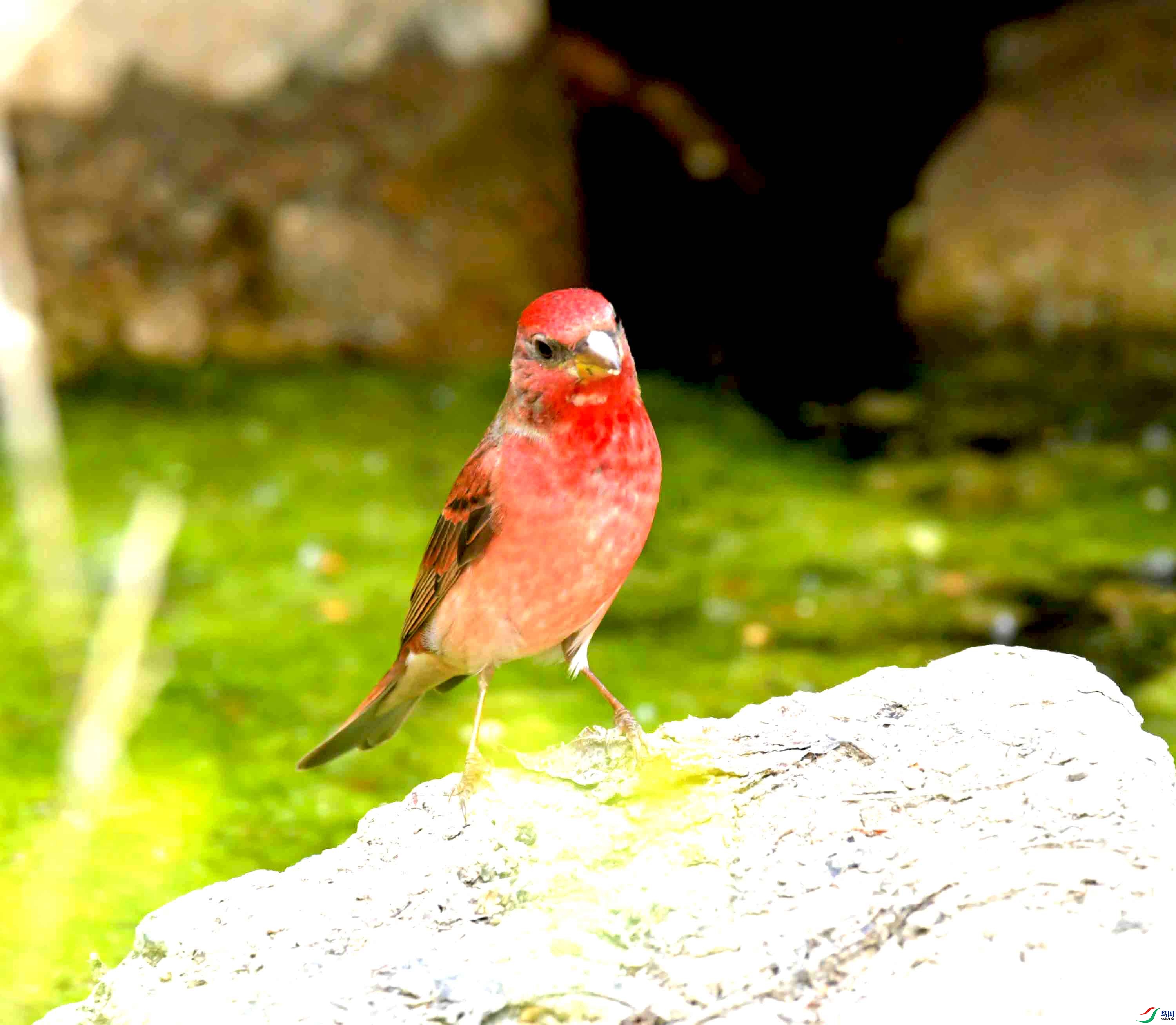 DSC_8769.JPG