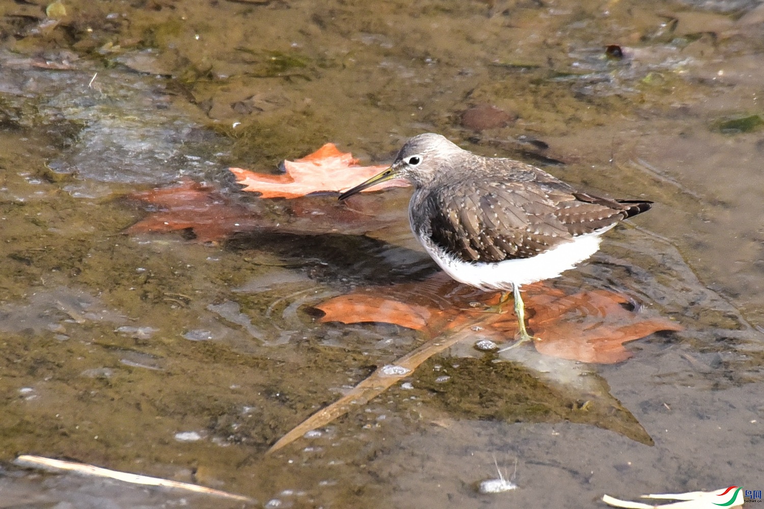 DSC_3836.JPG