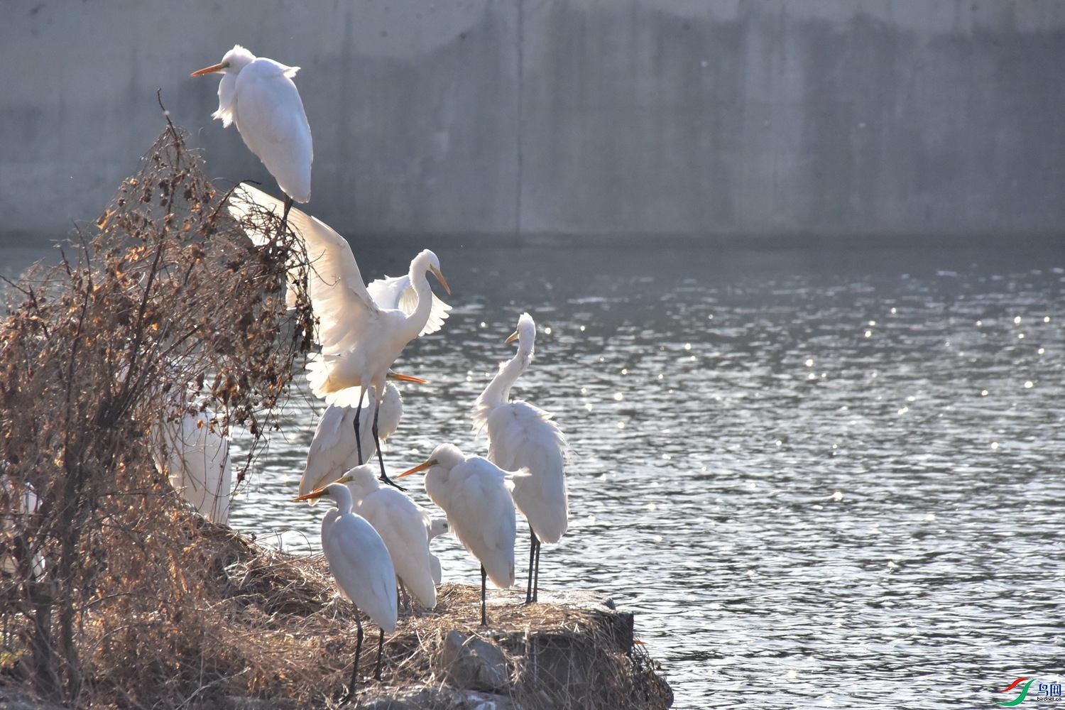 DSC_5038.JPG