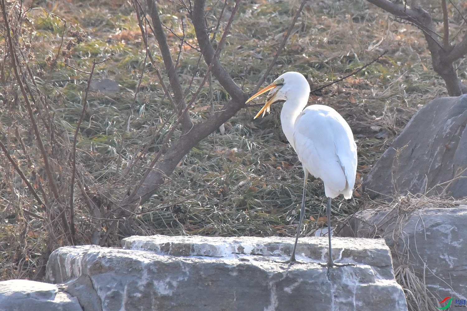 DSC_5066.JPG