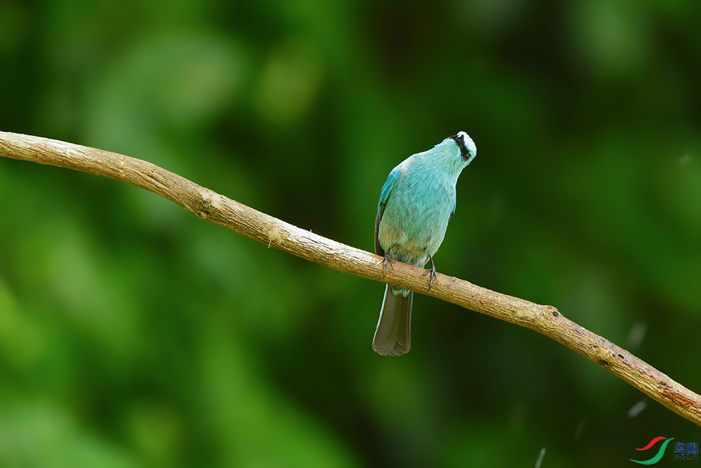 DSC_4101_DxOa.jpg