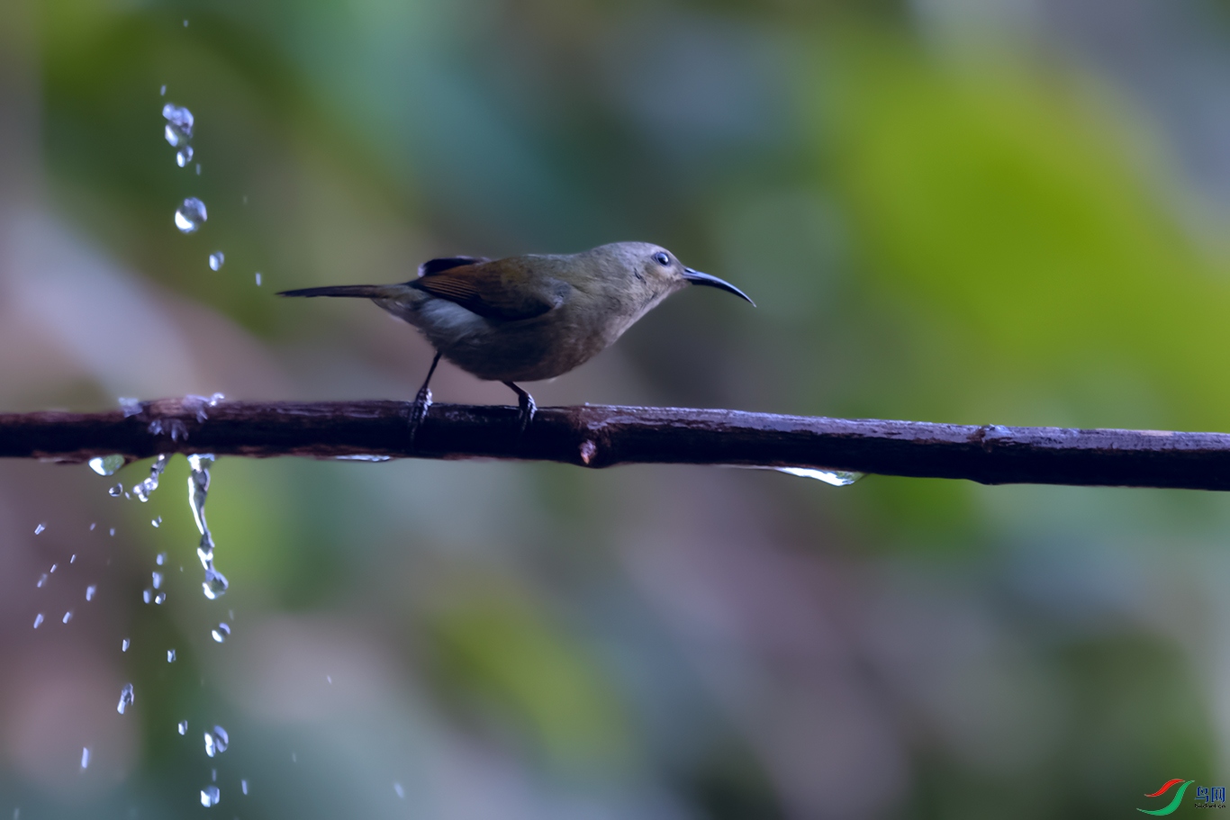DSC_1763_DxOa.jpg