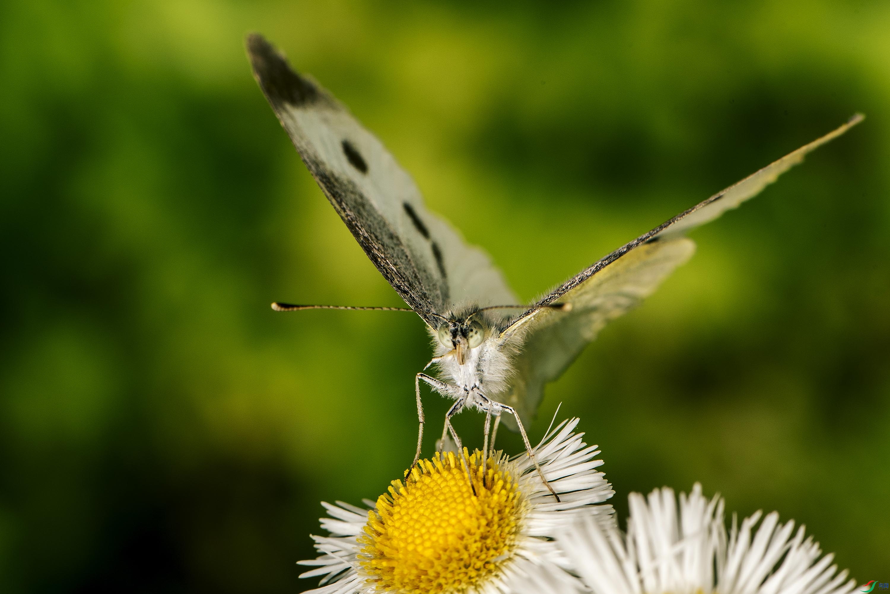 DSC_0298.jpg