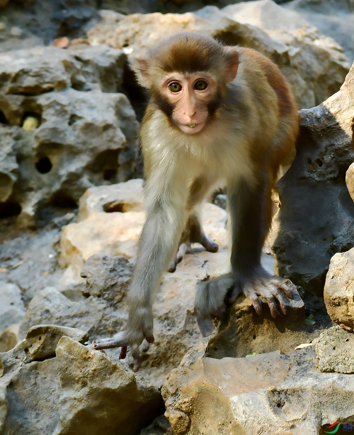 DSC_6400_conew1.jpg