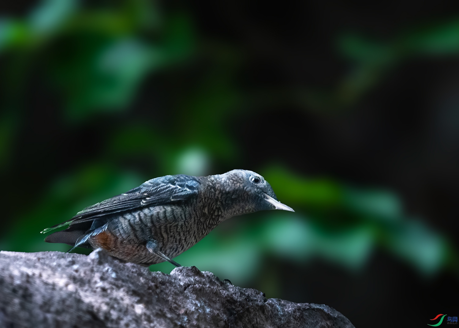 DSC_3905.jpg