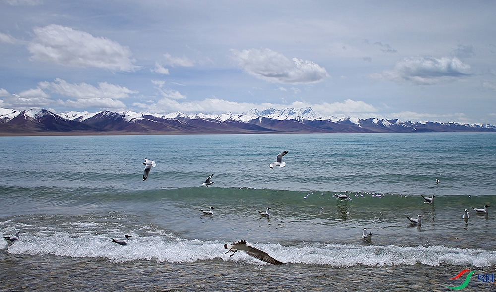 IMG_2793.1.jpg