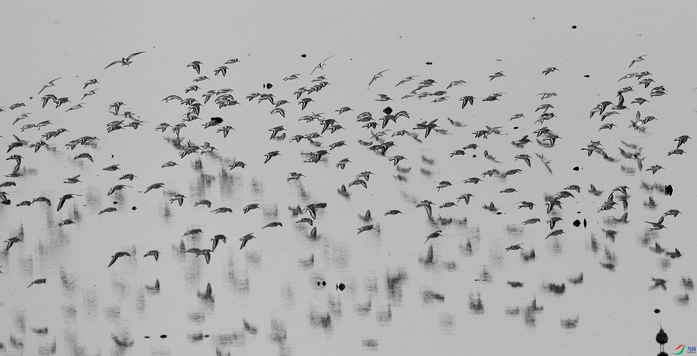 DSC_5279.jpg