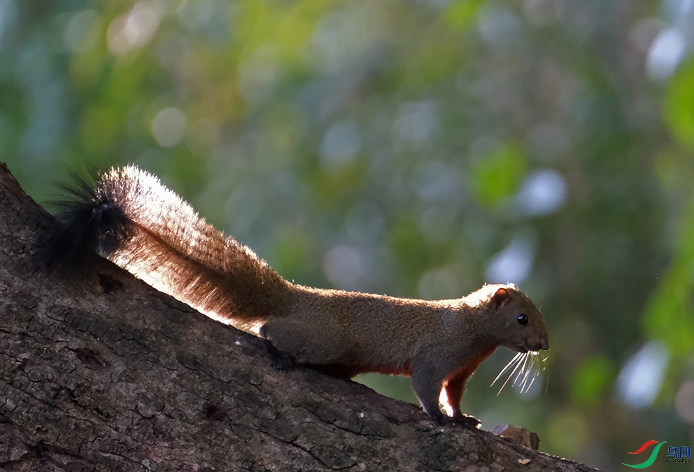 DSCF7690.1.jpg