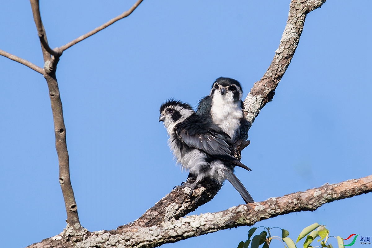 _A2I1727.jpg