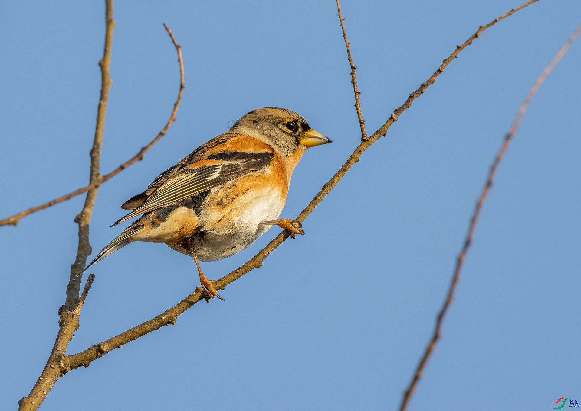 4E9A6970- ����.jpg