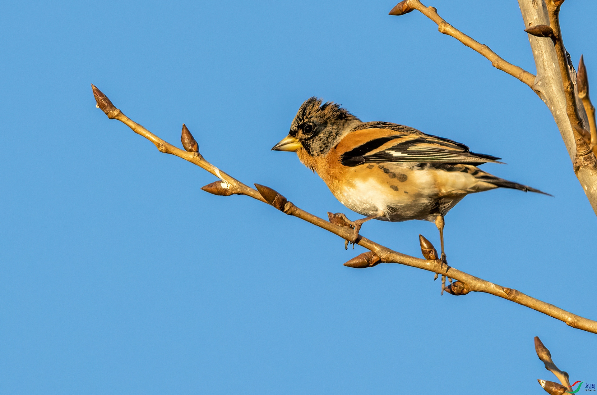 4E9A7045- ����.jpg