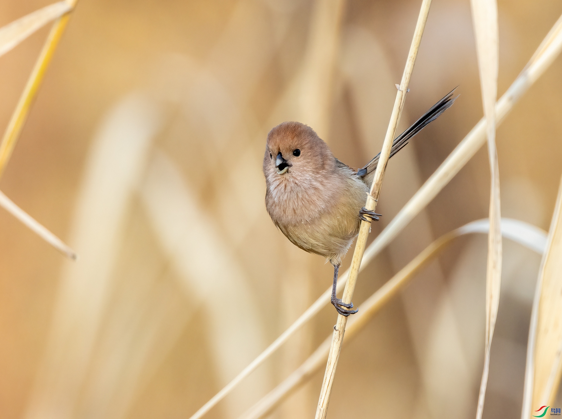 4E9A7726- ����.jpg