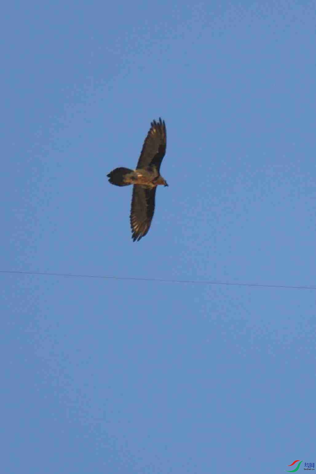 DSC_7071_00002.jpg