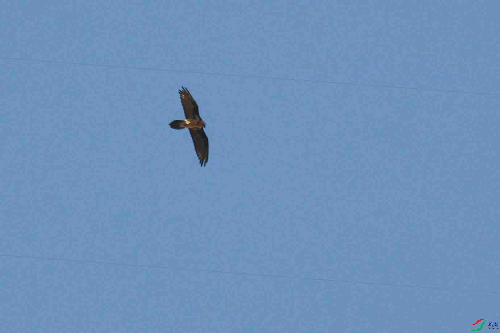 DSC_7068_00002.jpg