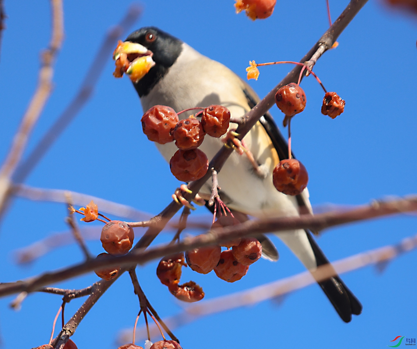 ����ȸ4.jpg