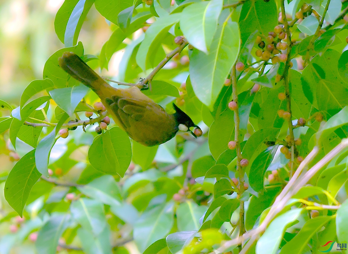 DSC_4291.JPG
