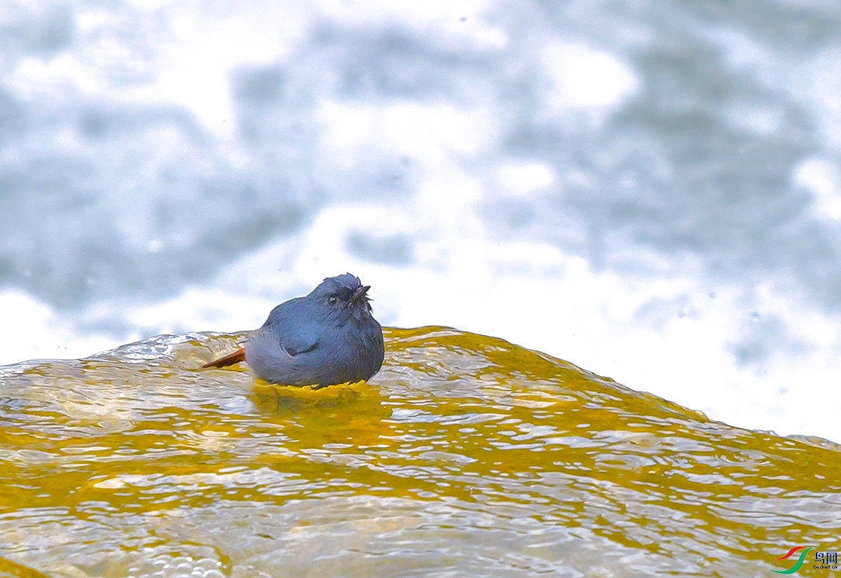 DSC_1304.JPG
