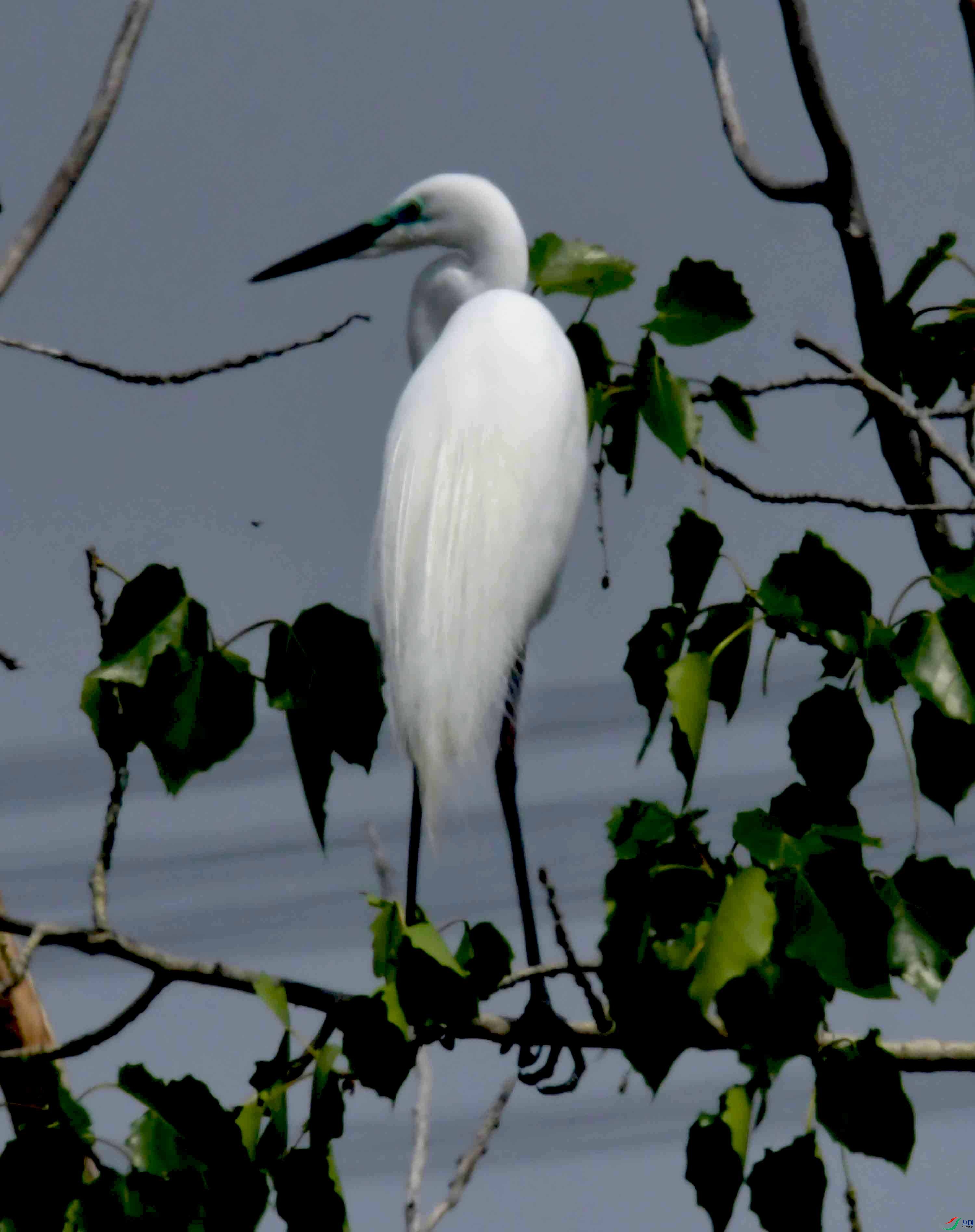 DSC_9453.JPG