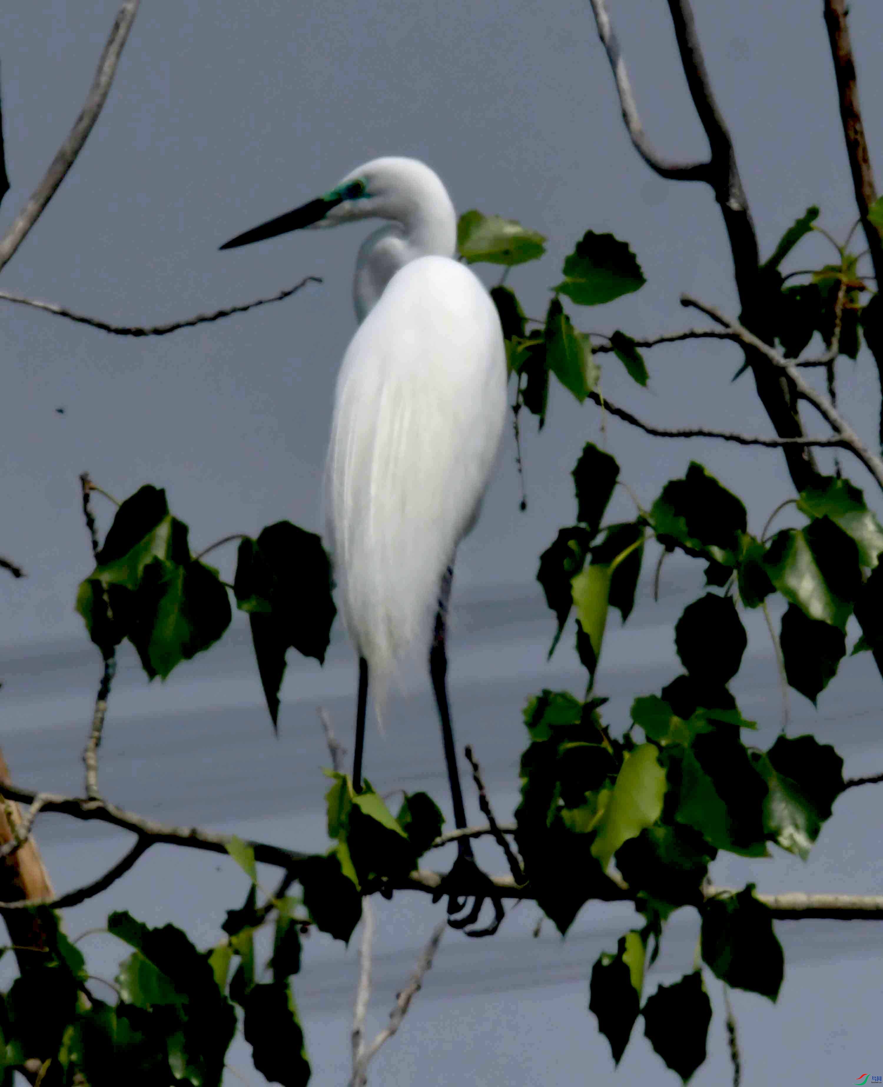 DSC_9454.JPG
