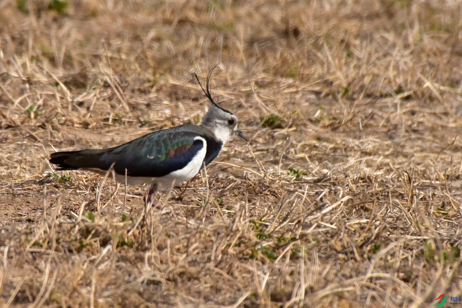 DSC_0557.JPG