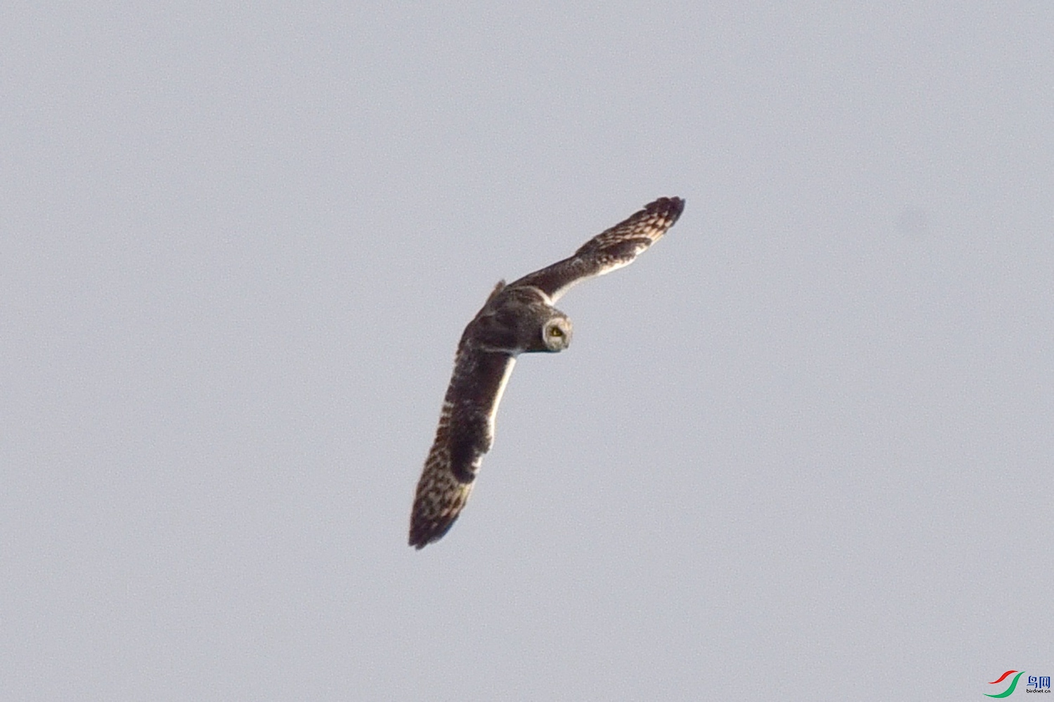 DSC_0653.JPG