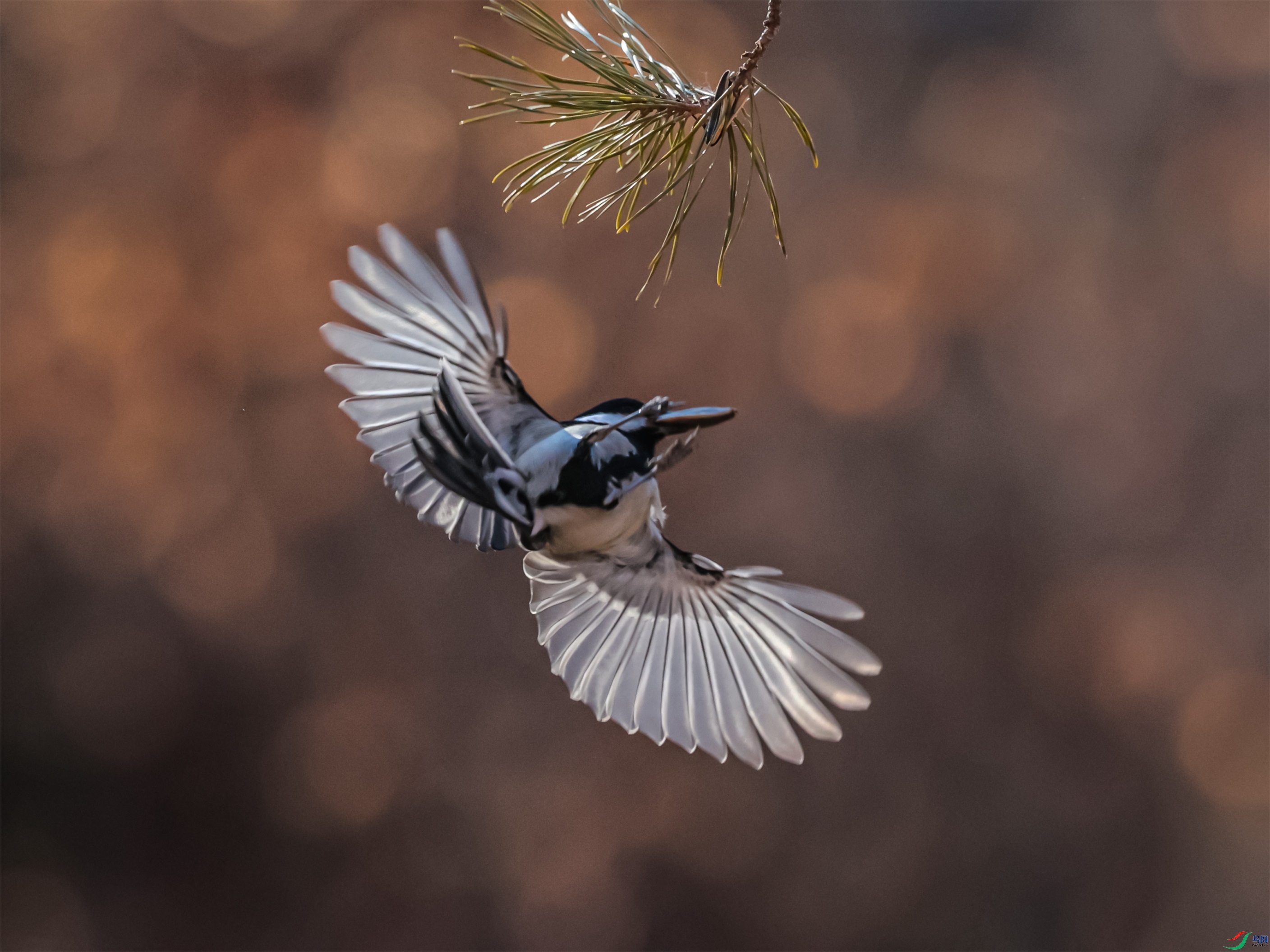 1K3A5649 ����1.jpg