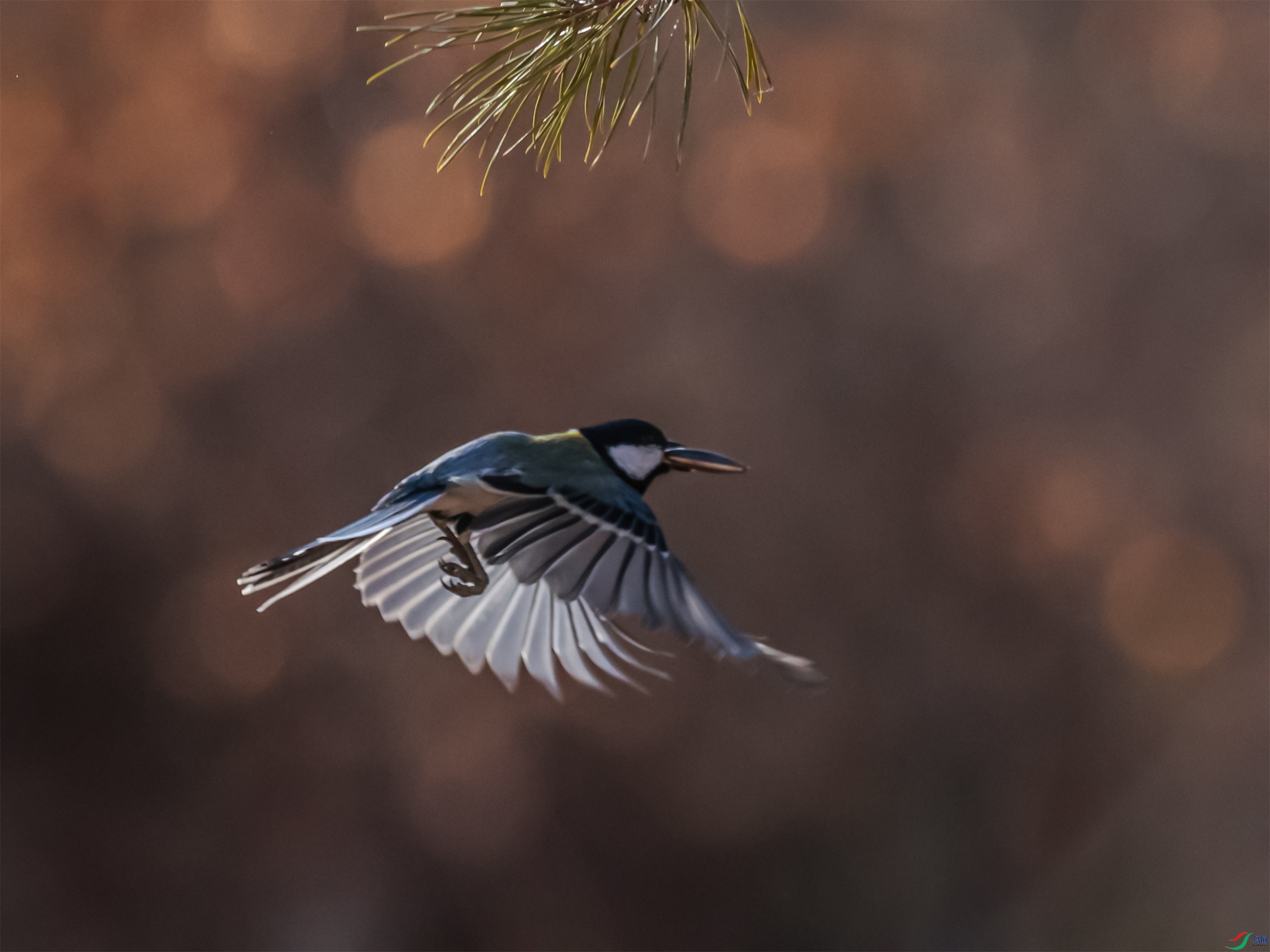 1K3A5650 ����1.jpg