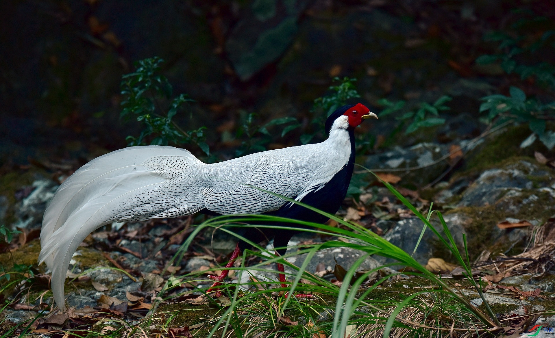 D8I_0846.jpg
