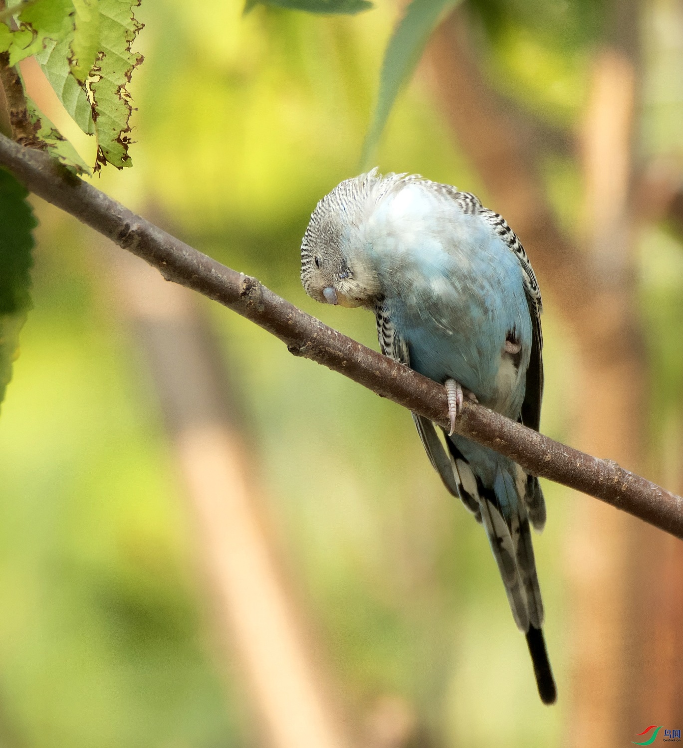 DSC_7743---_conew1.jpg