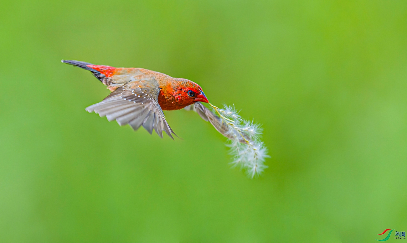 æµ������