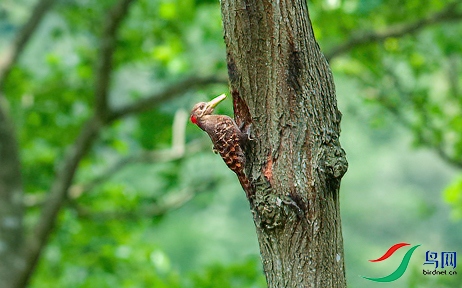 DSC_7635-1.jpg