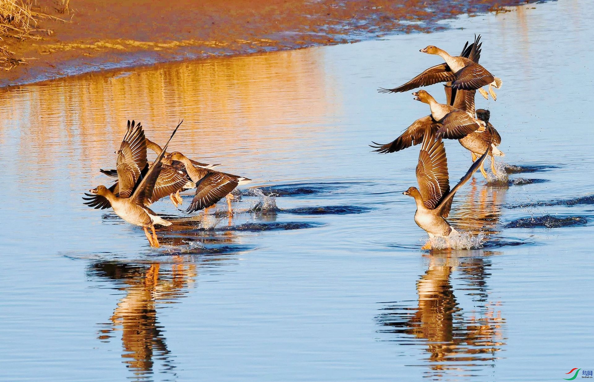 6a5b9950ecef06e526c79314f8493b2_����.jpg