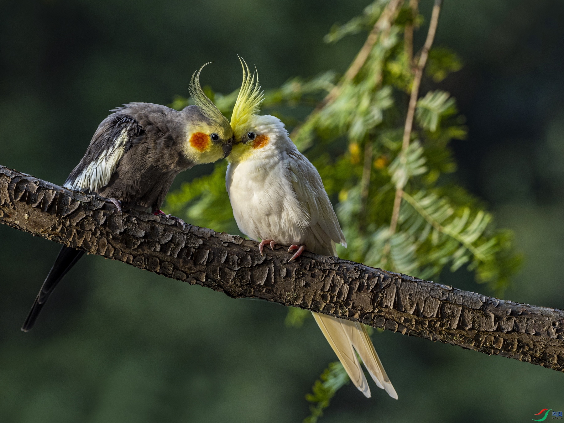 �������� (1)-1.jpg