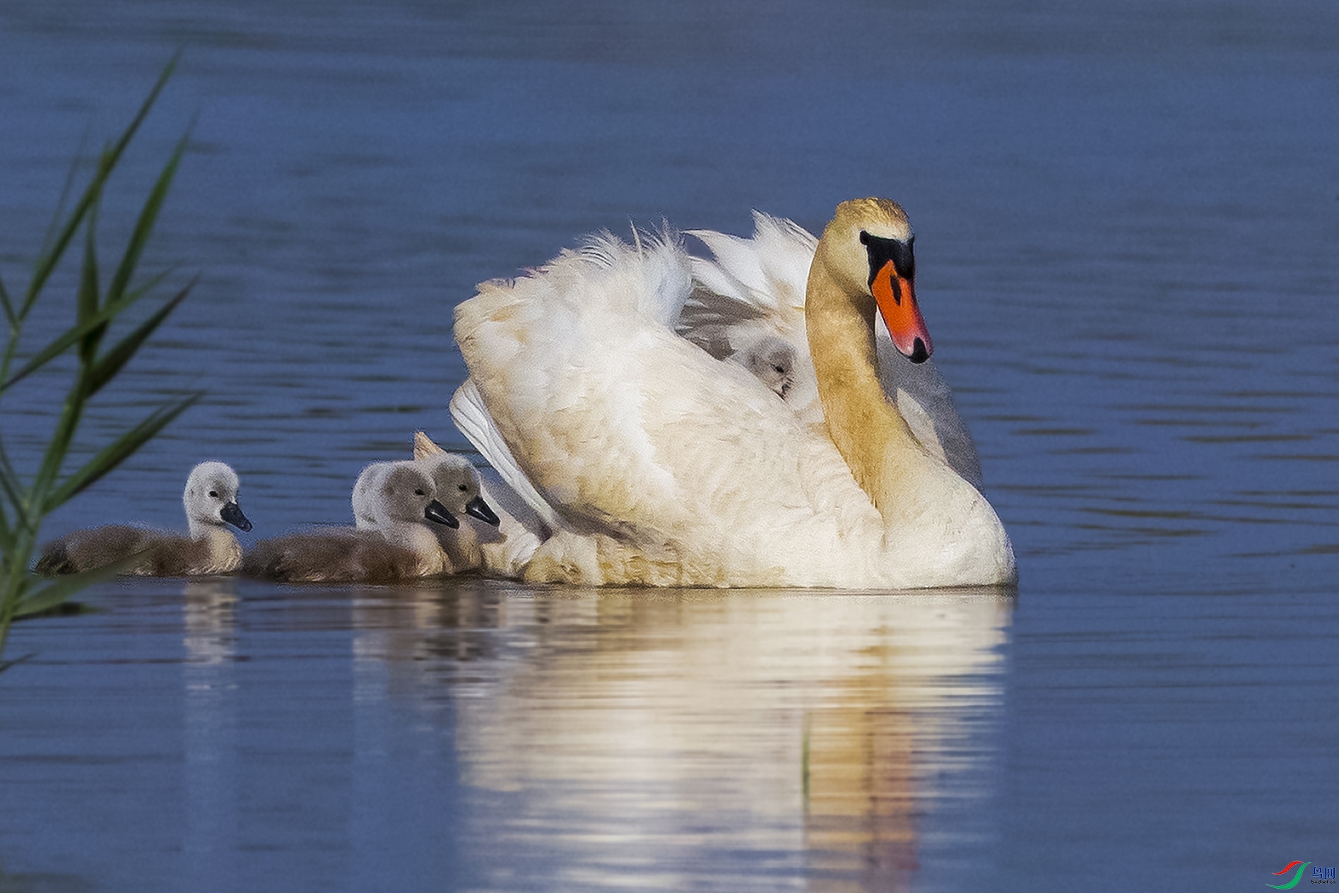 IMGL5971 1���� ����.jpg